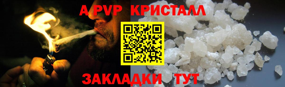 закладка  Вход с VPN  Сочи  A PVP  Альфа ПВП СК КРИС  Alpha PVP СК КРИС 
