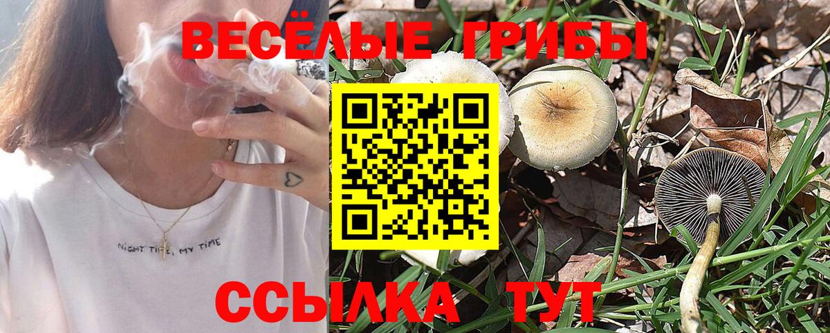 Сочи  Псилоцибиновые грибы прущие грибы  Галлюциногенные грибы MAGIC MUSHROOMS  Вход с VPN 